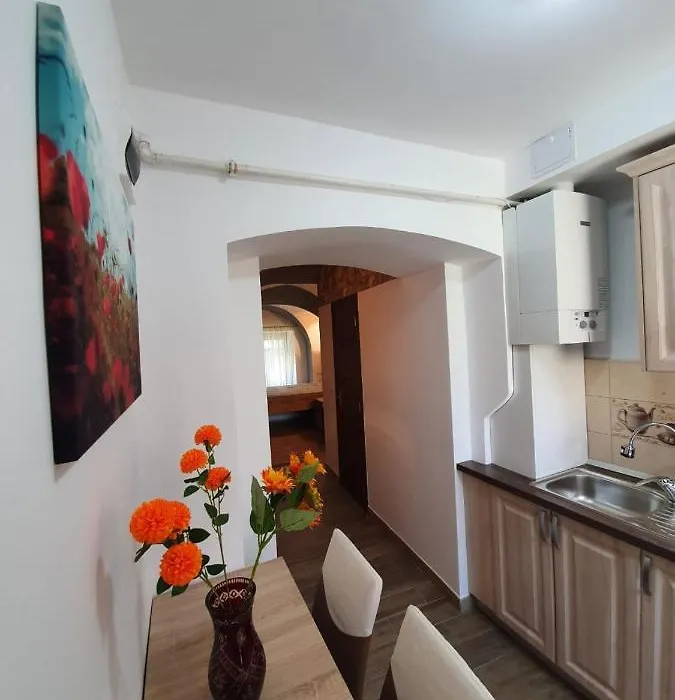 Radu Apartament-1