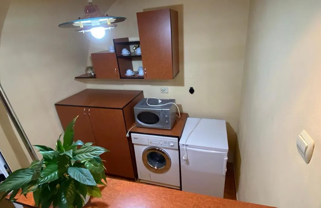Apartament Central Zone-1