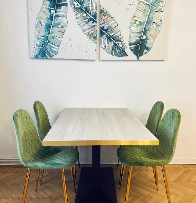Studio Excelsior 2-1