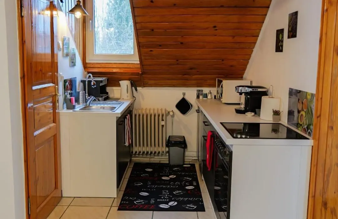 Transylvanian Hideaway Apartment-1