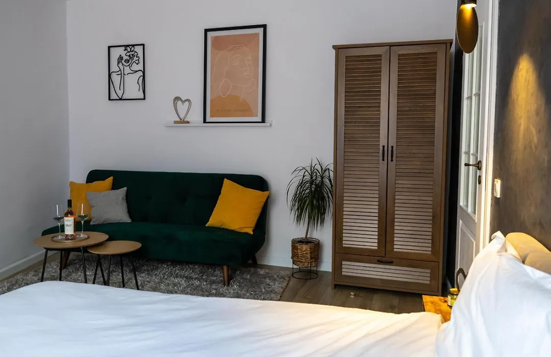 Cozy Studio-1