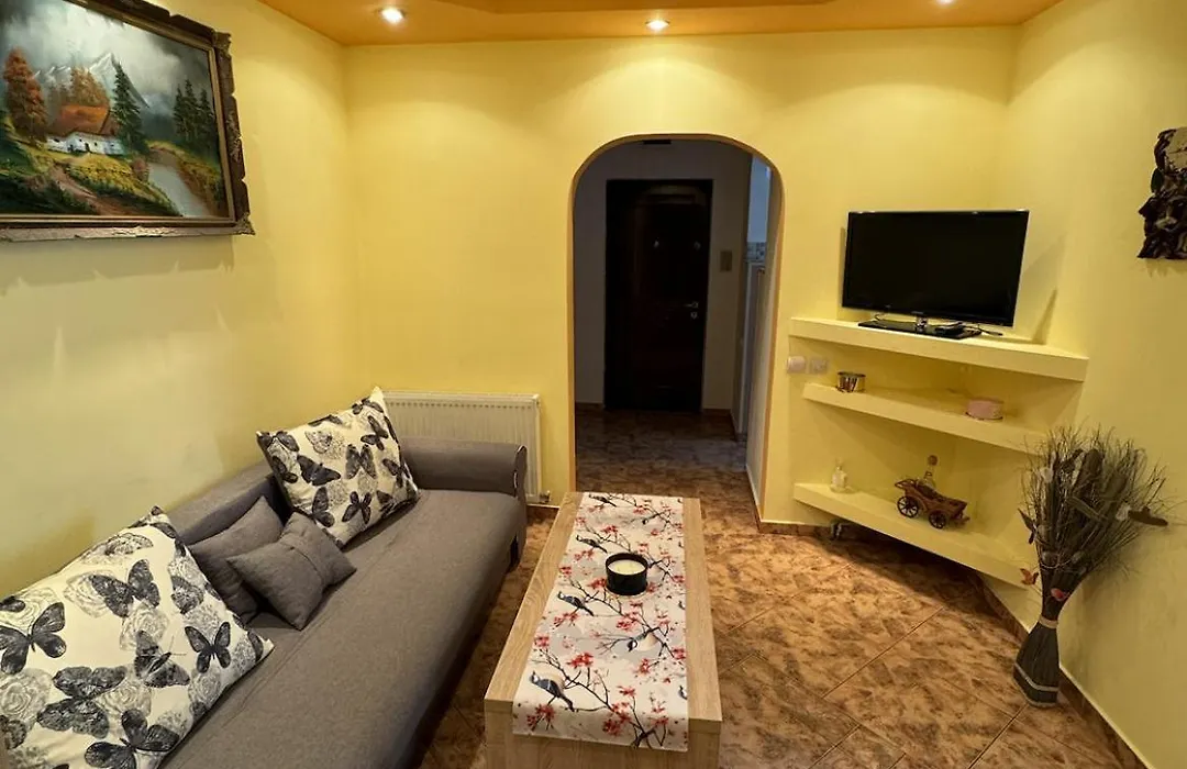 Muntean Residence-1
