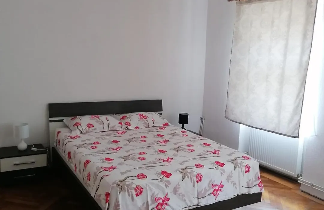 Apartament Andrei-1