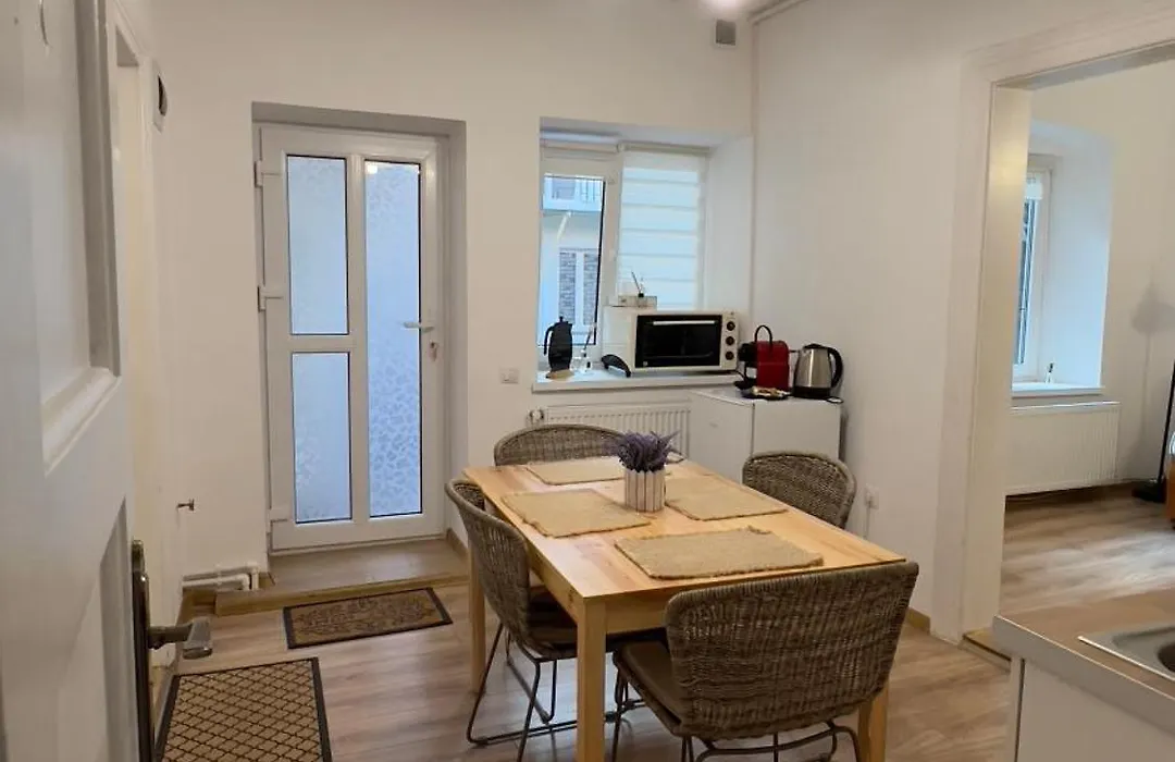 Cozy apartment Tribunei-1