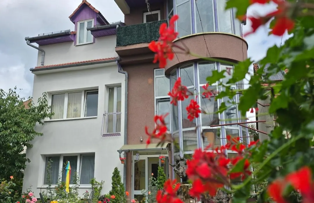Rodica Apartment-1
