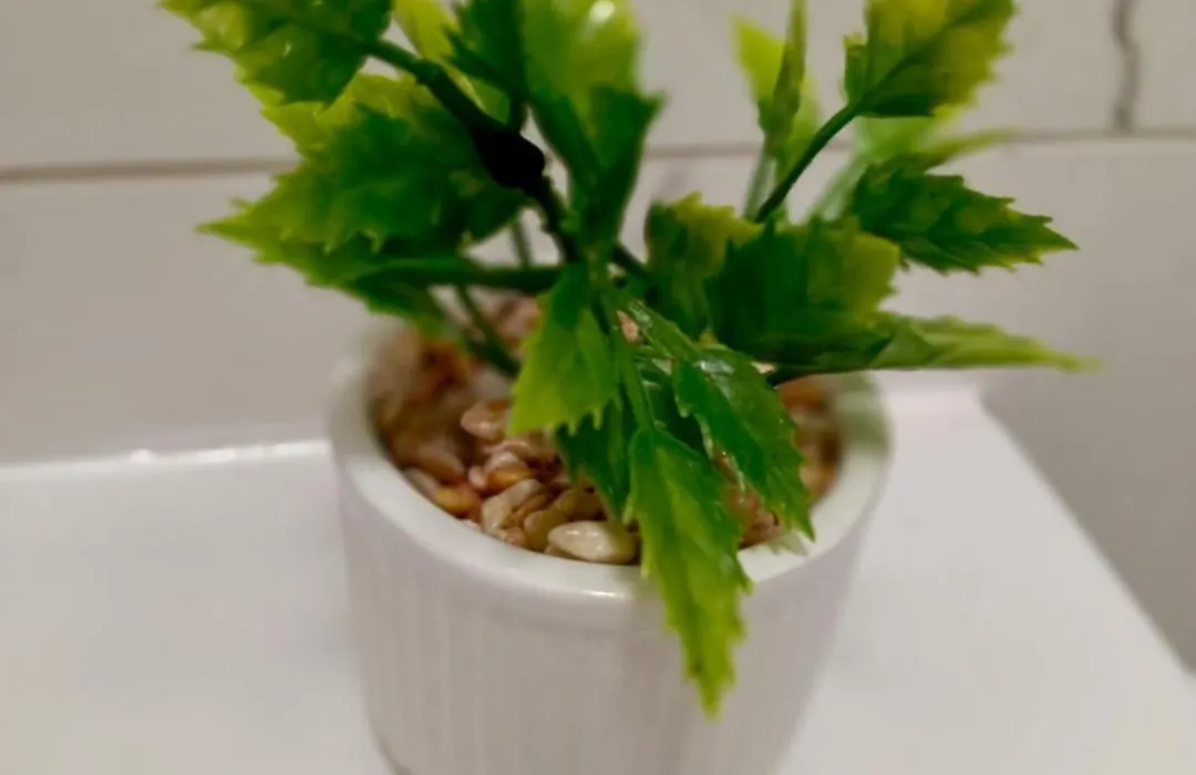 Flh - Apartament Central Silva-1