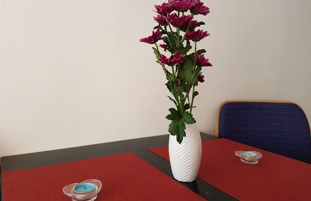 Apartament Diara-1