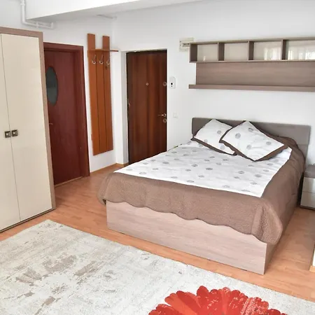 Apartament Frunzei-3
