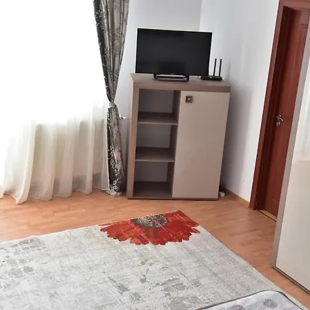 Apartament Frunzei-2