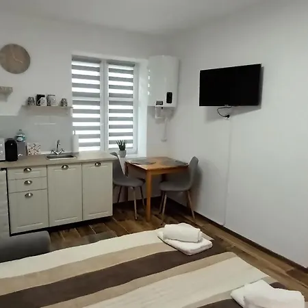 Cezar Home Studio Sibiu-2