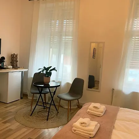 Apartament Plopilor Studios-3