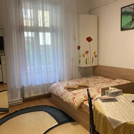 House Centrul Istoric-2