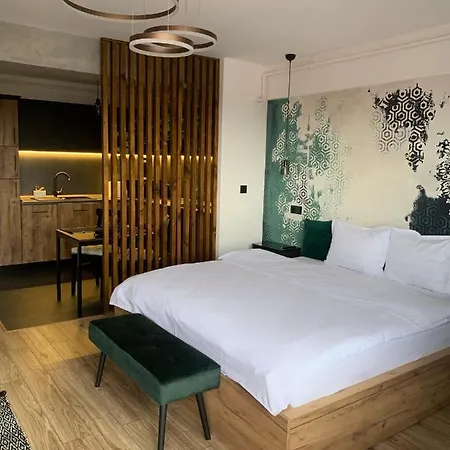 A Guesthouse Sibiu-3