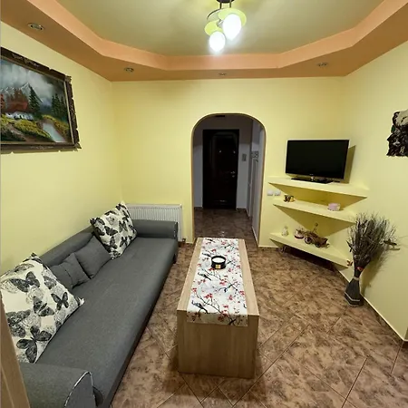 Muntean Residence-2