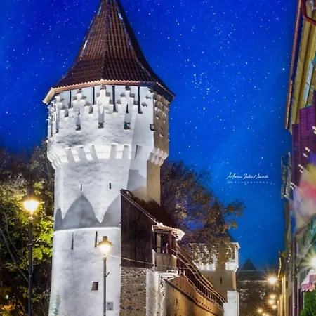 Ilinca Home-3