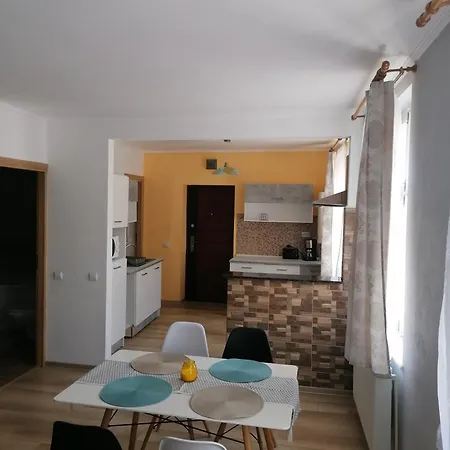 Apartament Andrei-3
