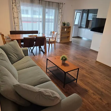 Sibiu Penthouse Mountain View-3