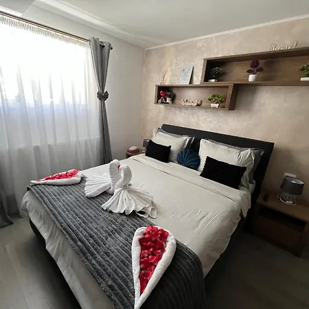 Studio Anca-old town Sibiu-2