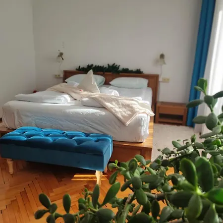Apartament Buon Gusto Sibiu-2