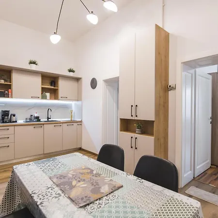 B8 - Large Apartment In Central Sibiu-3