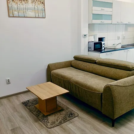 Flh - Apartament Central Silva-2
