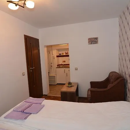 Apartament Supercentral Sibiu-3