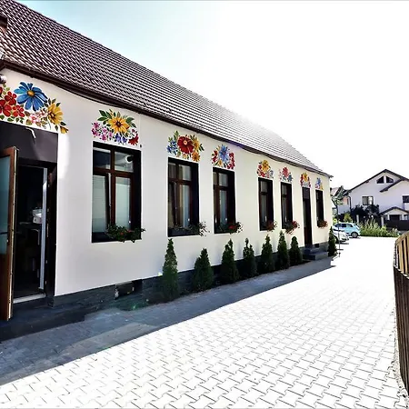 Flowers House Sibiu-2