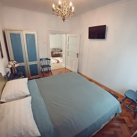 Antique Apartment Sibiu-3