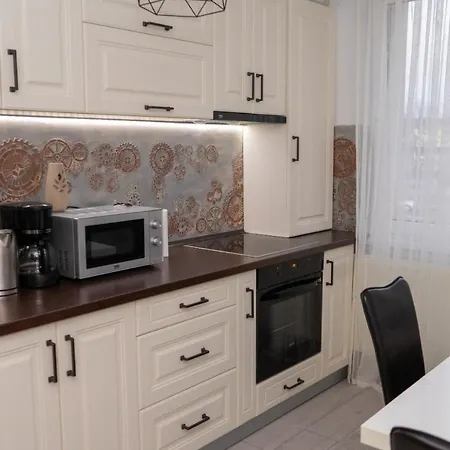 Apartament Central Radu-3