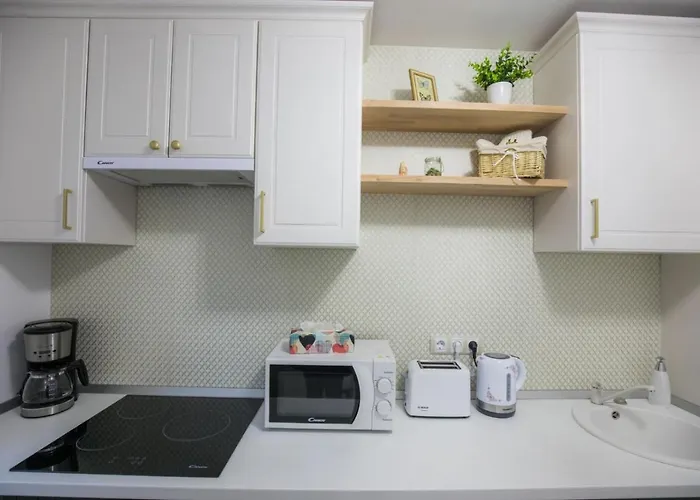 Ego Deluxe Apartment - Central Location Sibiu