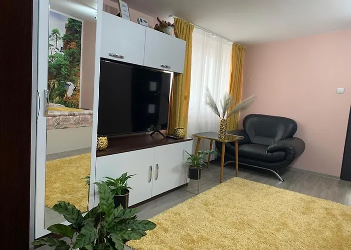 Garsoniera Madalina Apartment Sibiu