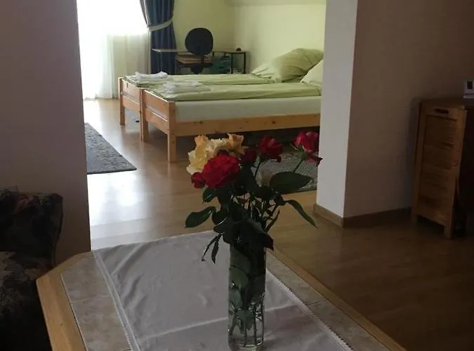 Casa Bis Apartment Sibiu