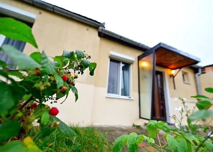Flh - Corina'S Place Sibiu
