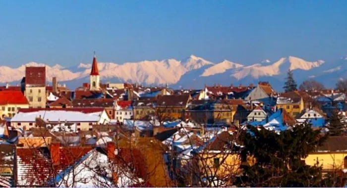 Leaf House Apartment Sibiu
