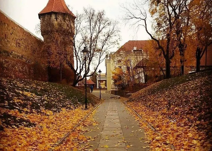 Cozy Residence Sibiu