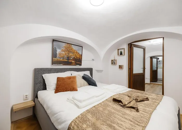 Downtown Cio Apartment Sibiu