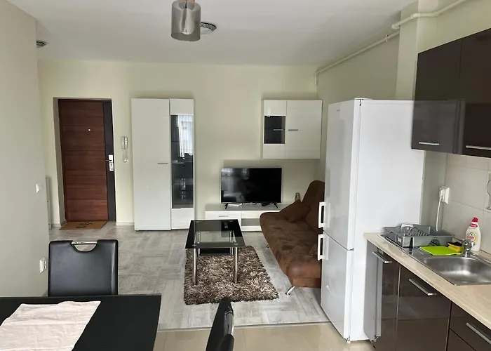 Mircea’ home Sibiu
