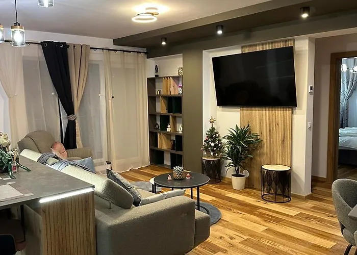 Apartament De Lux Andre Sibiu