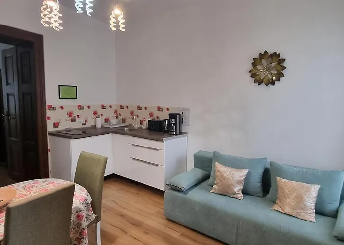 Luxury Central Apartment In Sibiu