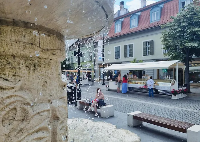 Central House Seven Sibiu
