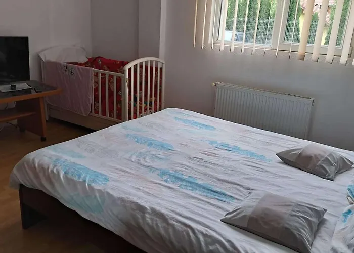NinSib Apartament 3 Camere 72mp 4 Paturi Sibiu