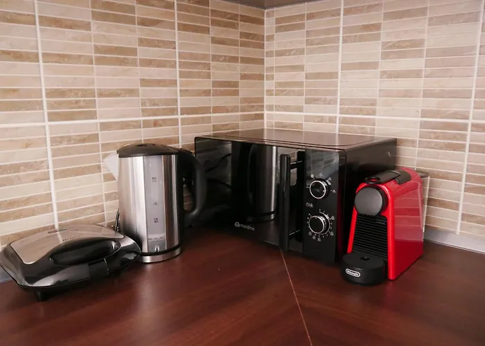 Free Private Garage In The Center-Delicia 4 Aparthotel Sibiu
