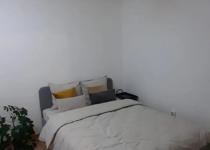 Studio Intim Si Cochet Sibiu