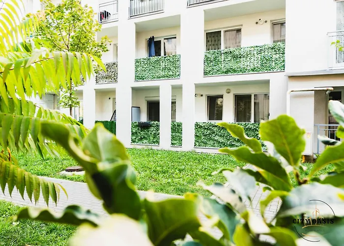 City Oasis Sibiu