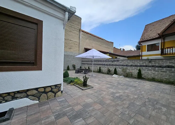 Casa Raduly - Apartament Demisol Sibiu