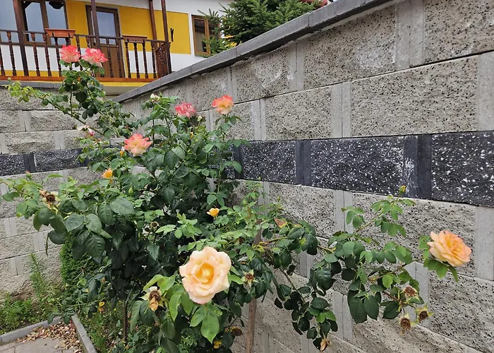 Casa Raduly - Apartament Demisol Sibiu