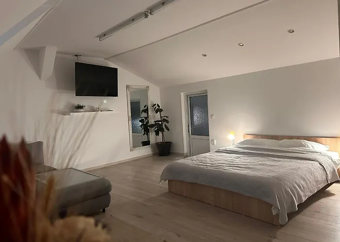 Grand Bbq Apartment Sibiu