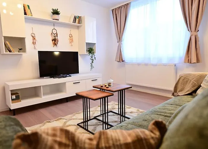 Flh - Neppendorf Loft Apartment Sibiu