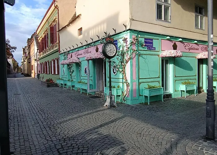 Old Town Cozy Nest Apartment Sibiu