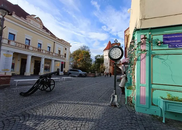 Old Town Cozy Nest Apartment Sibiu